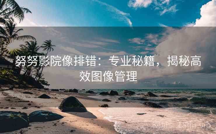 努努影院像排错：专业秘籍，揭秘高效图像管理