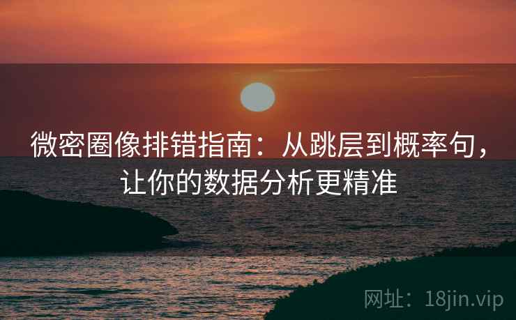 微密圈像排错指南：从跳层到概率句，让你的数据分析更精准