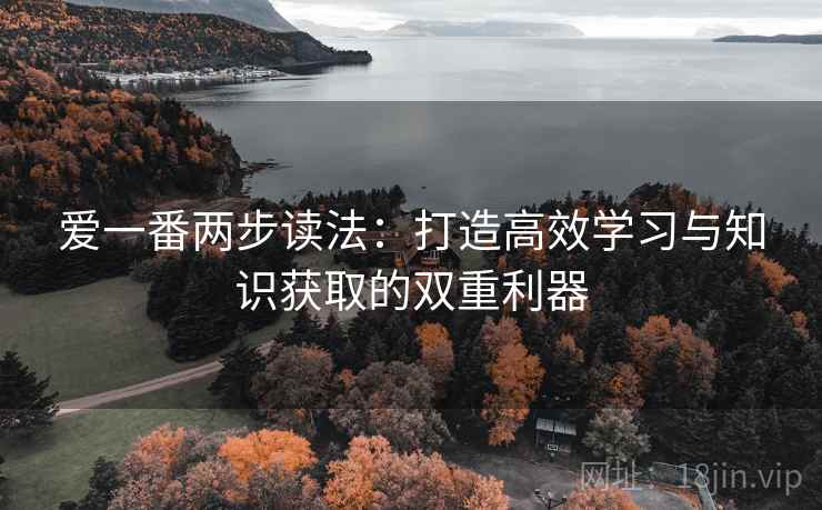 爱一番两步读法：打造高效学习与知识获取的双重利器